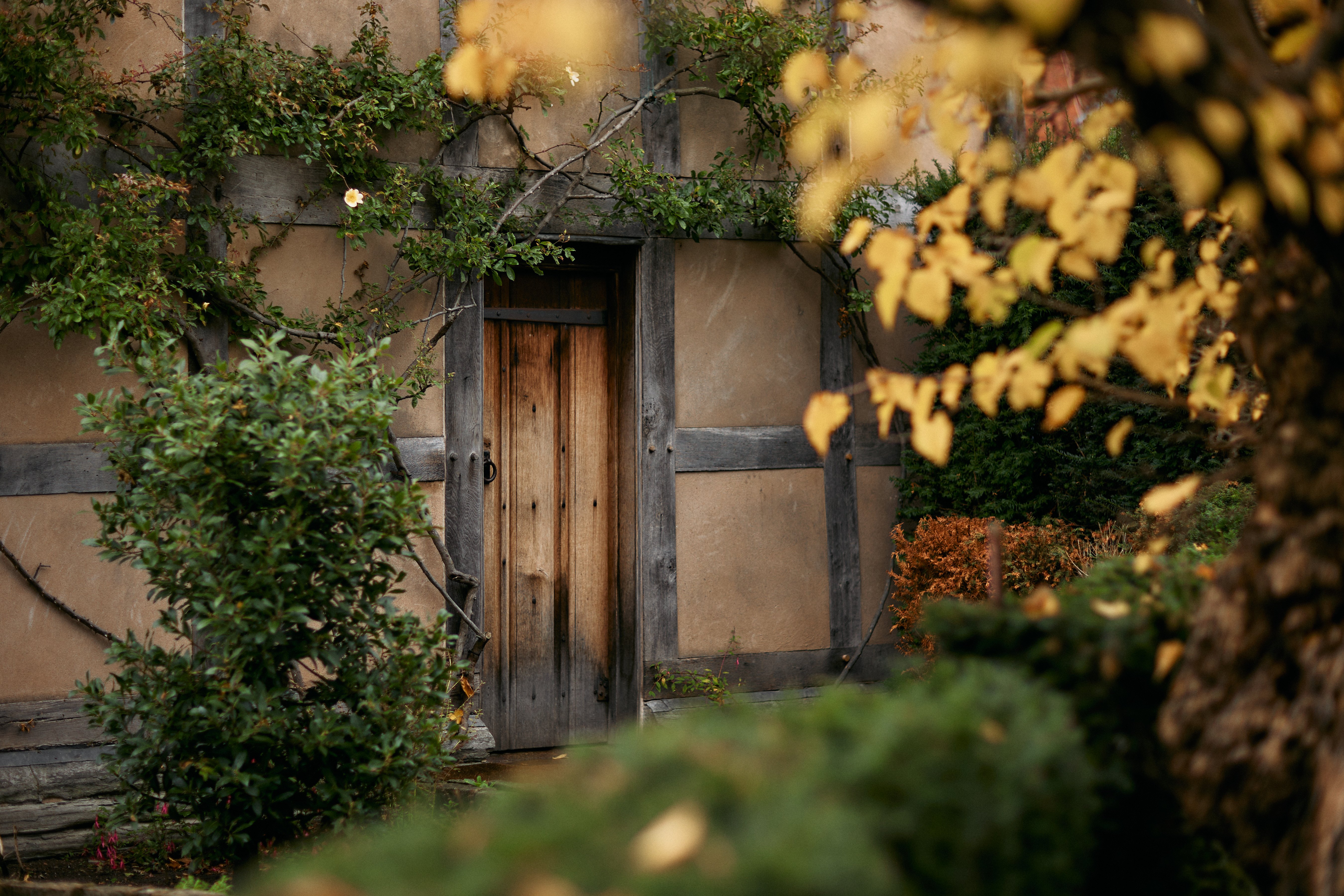 Door of Shakespeare's Birthplace