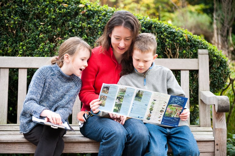 Family Reading