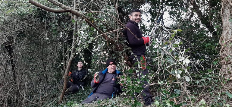 gardening team midsummer nights dream