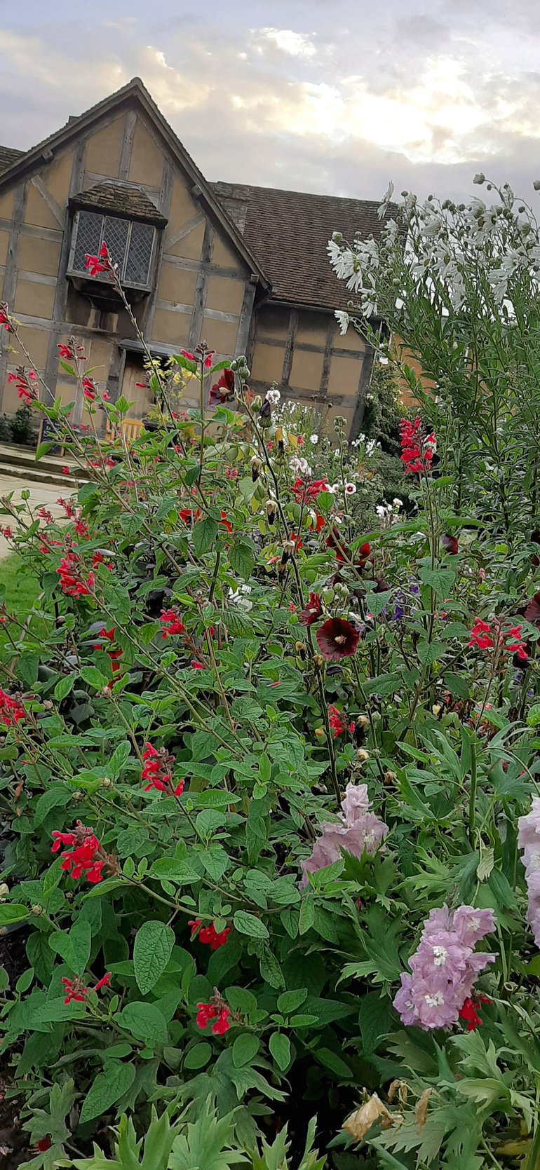 Newly planted borders