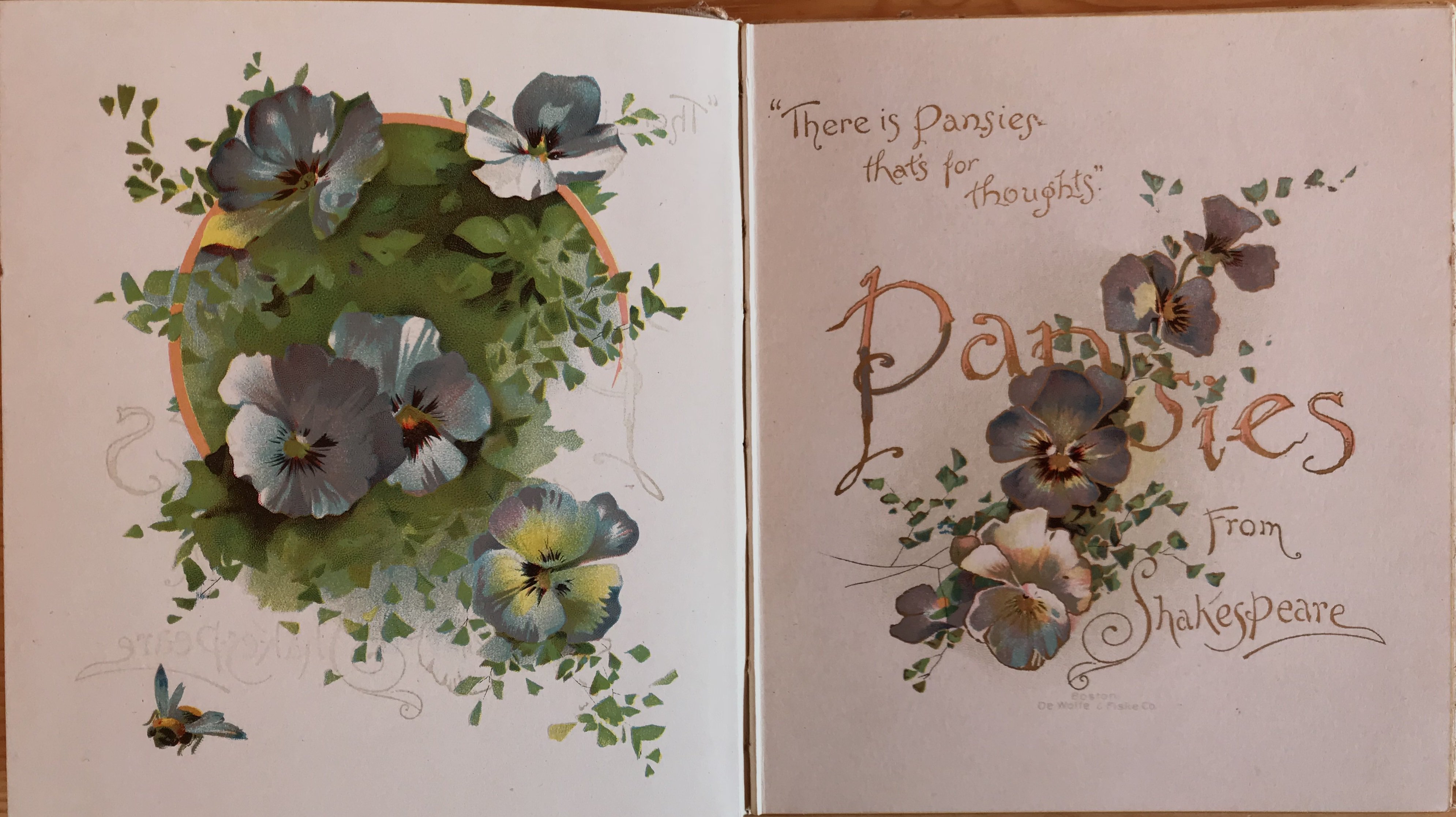 Shakespeare’s Favourite Flowers: The Pansy