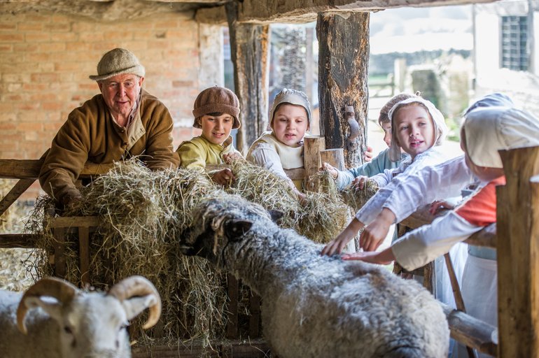 Life On A Tudor Farm