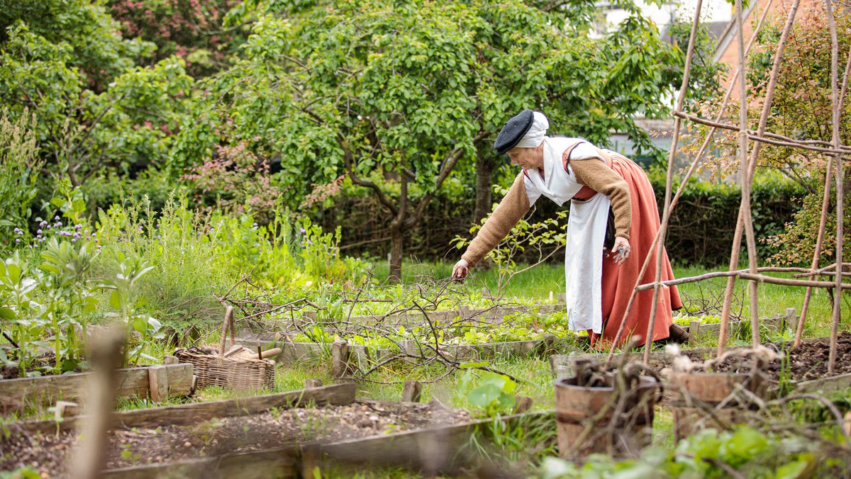 Tudor gardening