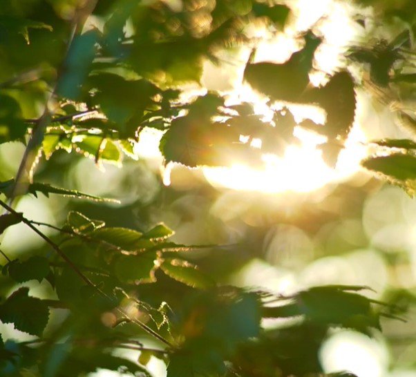 Touch of nature image.jpg