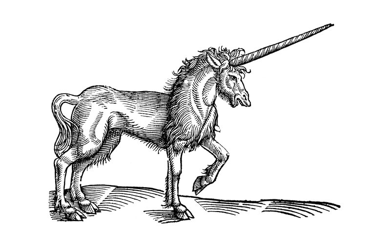Topsell unicorn