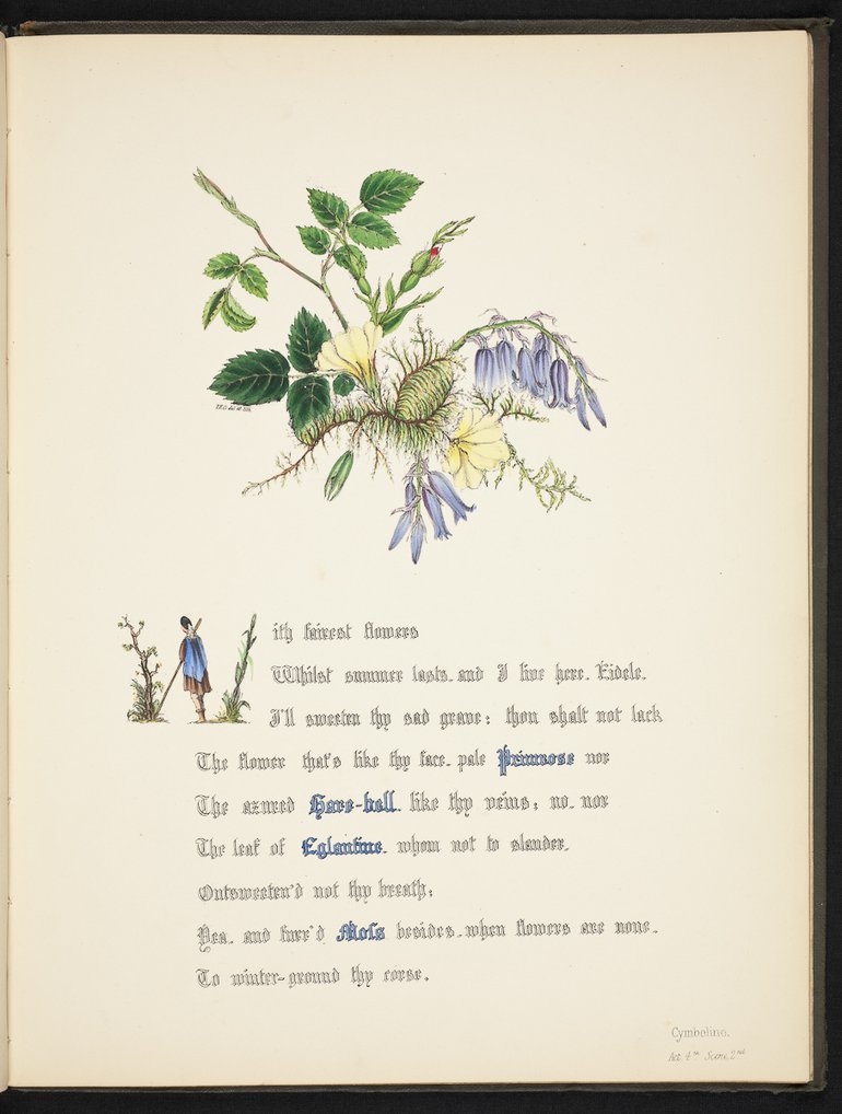 sbt-os-56-83039953-flowers-of-shakespeare-1845-plate-21 primrose.jpg