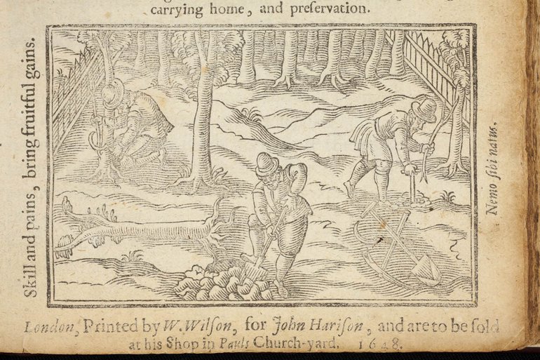 Working man in the orchard, illustration from William Lawson`s book (1617)